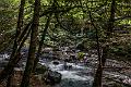 2015_08_04 (0074)